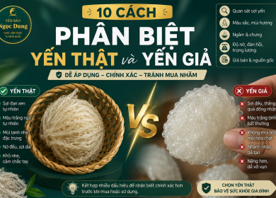 C&aacute;ch Ph&acirc;n Biệt Yến Thật Giả: 10 Dấu Hiệu Nhận Biết Dễ &Aacute;p Dụng