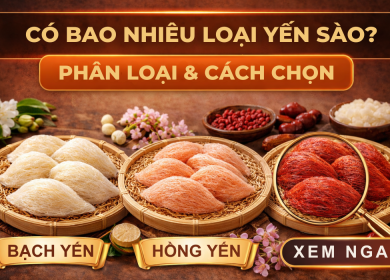 C&aacute;c Loại Yến S&agrave;o: Ph&acirc;n Loại, Đặc Điểm & C&aacute;ch Chọn Ph&ugrave; Hợp