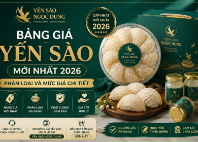 Gi&aacute; Yến S&agrave;o Hiện Nay Bao Nhi&ecirc;u? Bảng Gi&aacute; Yến S&agrave;o Mới Nhất 2026