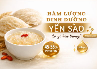 H&agrave;m Lượng Dinh Dưỡng Trong Yến S&agrave;o - Lợi &Iacute;ch Chi Tiết