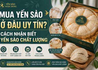 Kinh Nghiệm Mua Yến S&agrave;o Chất Lượng, Tr&aacute;nh H&agrave;ng K&eacute;m Chất Lượng