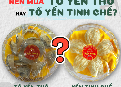 Yến Tinh Chế vs Yến Th&ocirc;: N&ecirc;n Mua Yến Loại N&agrave;o?