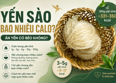 Yến S&agrave;o Bao Nhi&ecirc;u Calo? Ăn Yến C&oacute; B&eacute;o Kh&ocirc;ng?