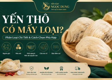 Yến Th&ocirc; C&oacute; Mấy Loại? C&aacute;ch Ph&acirc;n Loại Yến Th&ocirc; Phổ Biến