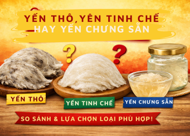 Yến Th&ocirc;, Yến Tinh Chế, Yến Chưng Sẵn Kh&aacute;c Nhau Như Thế N&agrave;o?