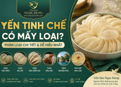 Yến Tinh Chế C&oacute; Mấy Loại? C&aacute;c Loại Yến Tinh Chế Phổ Biến