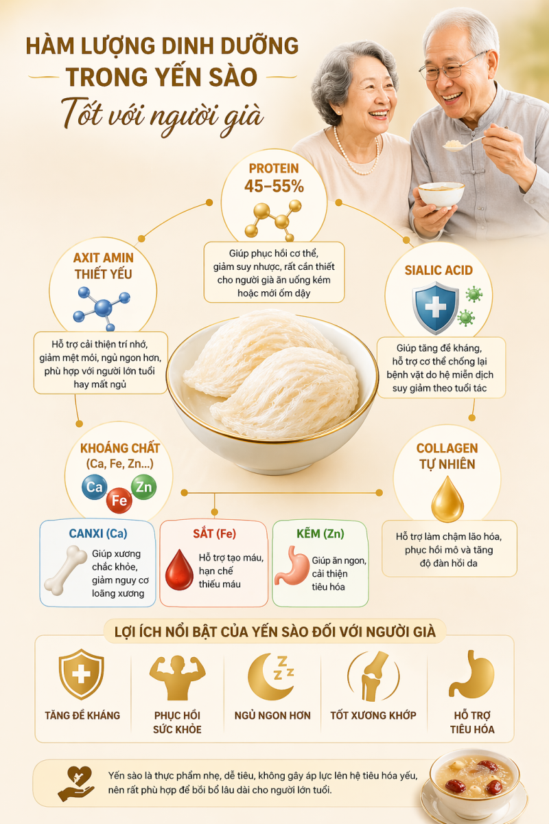 Lợi ích yến sào đối với người già