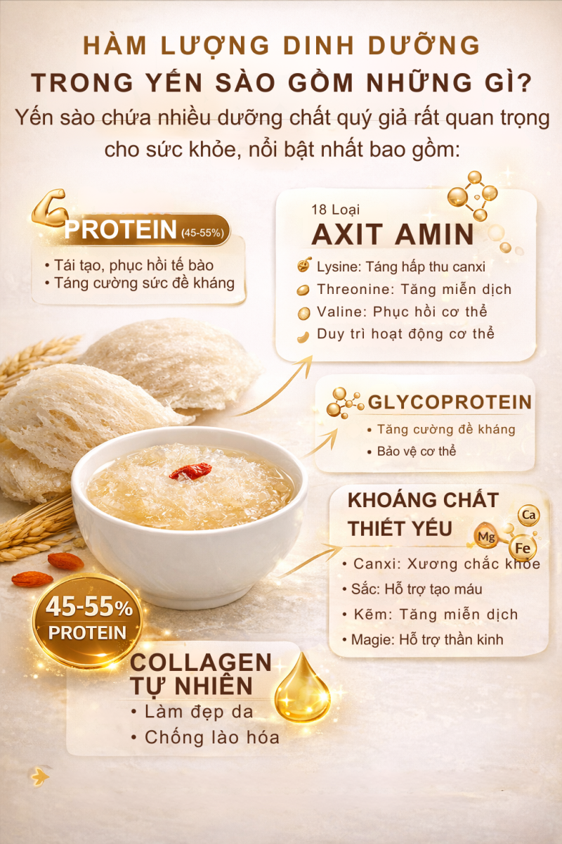 Một số hàm lượng dinh dưỡng có trong yến sào tốt cho sức khỏe